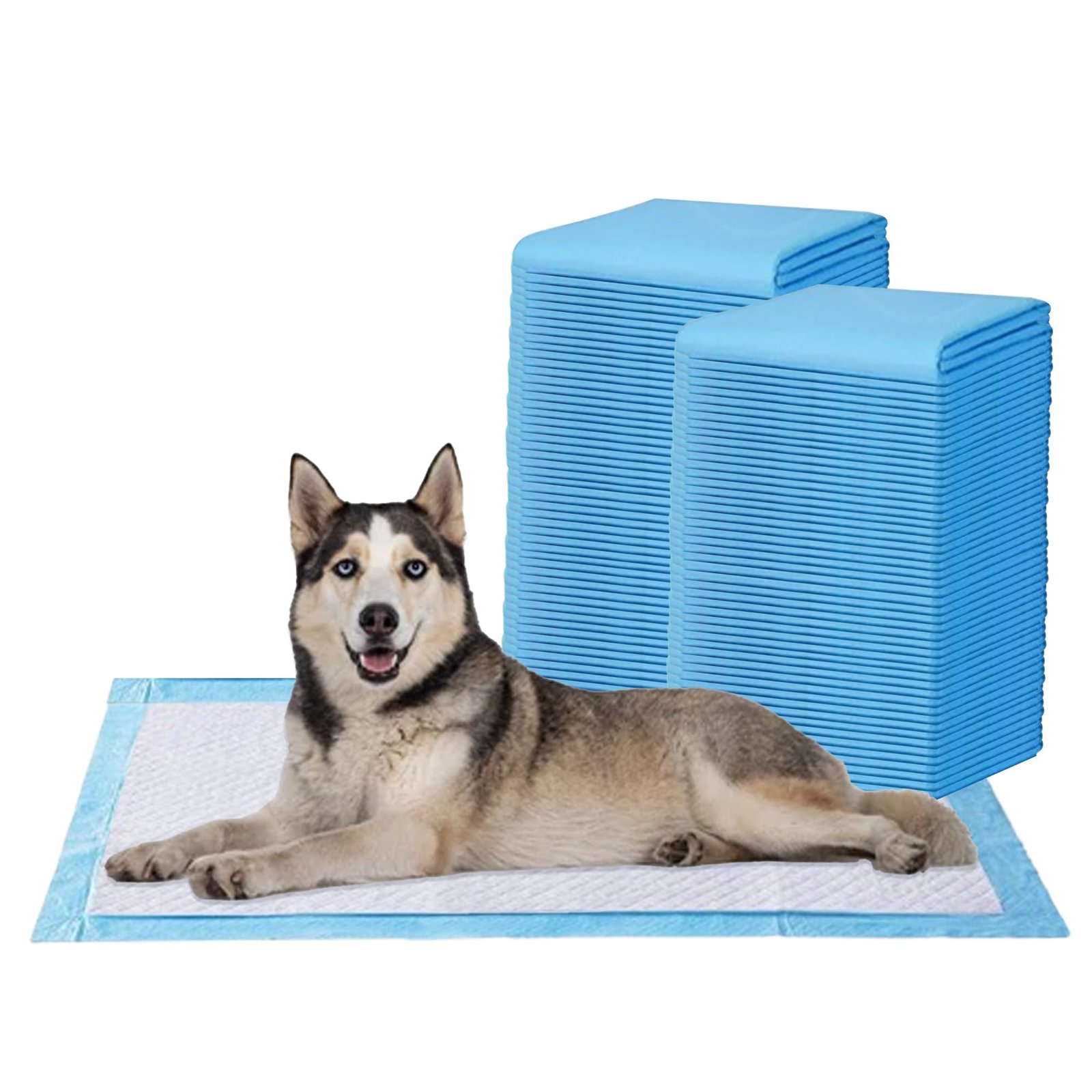 Amorite Dog Pee Pad – 60x90 cm | 100 Count (Large) |Dog Training Pad with Leak-Proof 5 Layer Protection & Odor Control | Quick Absorbent Pet Pee Pads for Dogs & Puppies, Pee Mat for Dogs