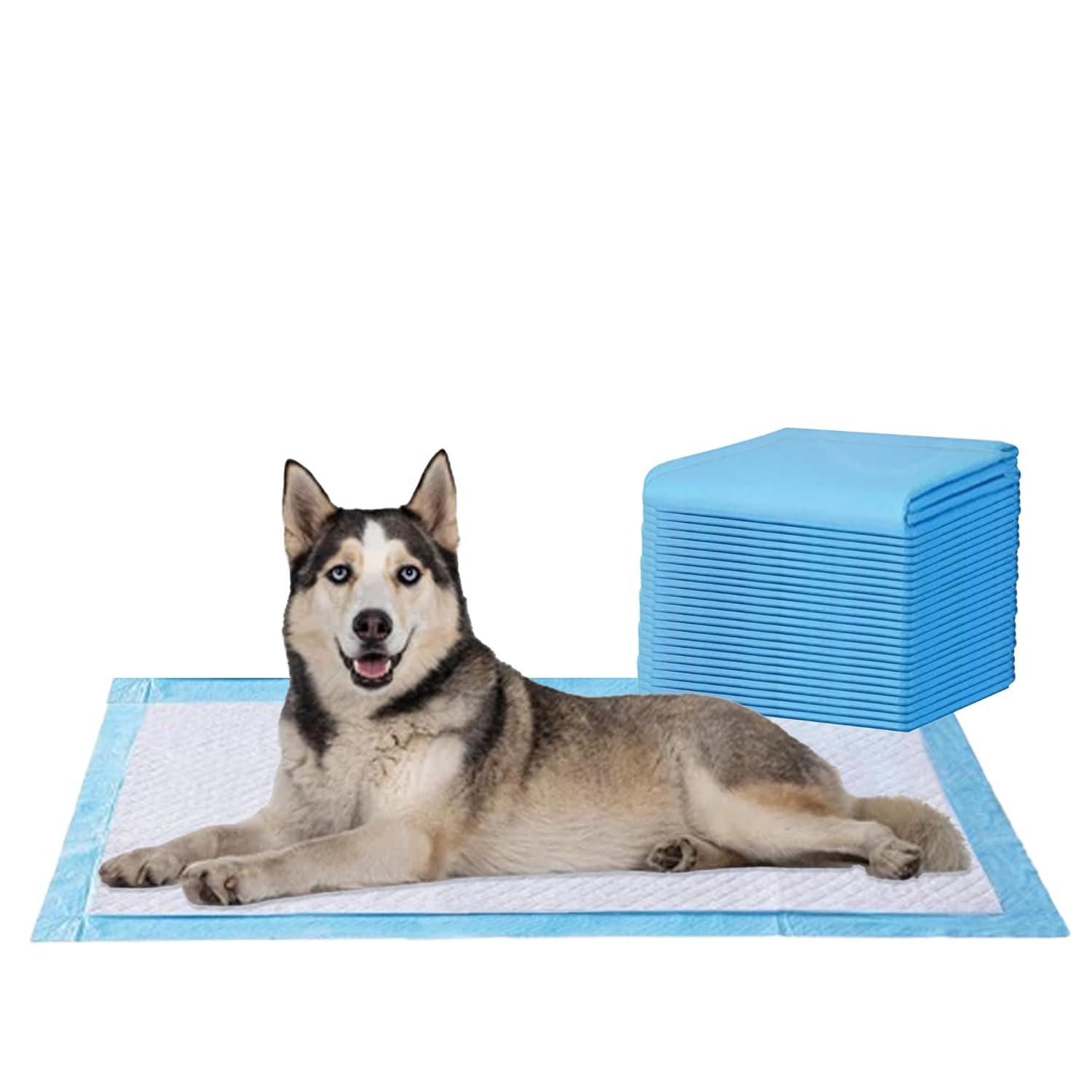 Amorite Pee Pads for Dogs and Cats –60x90 cm | 25 Count (Large) | Dog Training Pad with Adhesive Floor Tape | Waterproof 5 Layer Protection & Odor Control | Pet Training Mat for All Pets