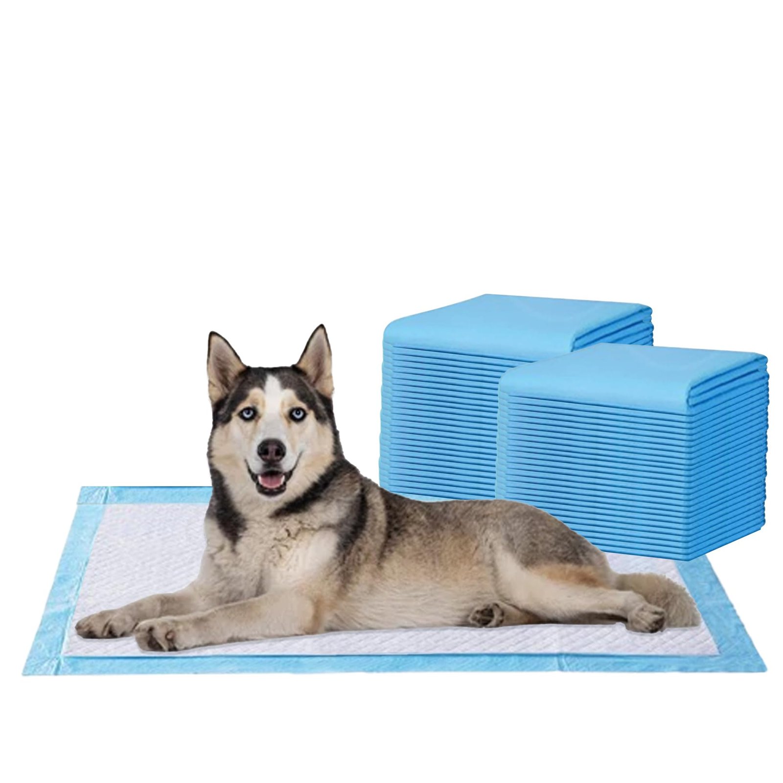 Amorite Pee Pads for Dogs - 60x90 cm | 50 Count (Large)|Disposable Dog Training Pad with 5 Layer Leak-Proof Protection & Odor Control | Quick Absorbent Pet Training Pads & Pee Mat for Dogs & Puppies