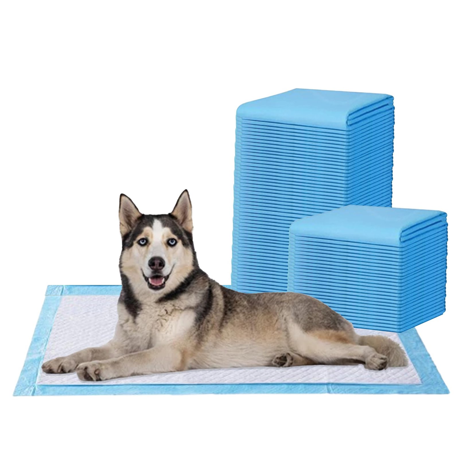 Amorite Pet Pee Pads for Potty Training – 60x90 cm | 75 Count (Large) | Dog Training Pads with Leak-Proof 5 Layer Protection & Odor Control | Quick Absorbent Pet Training Pads for Puppies & Dogs