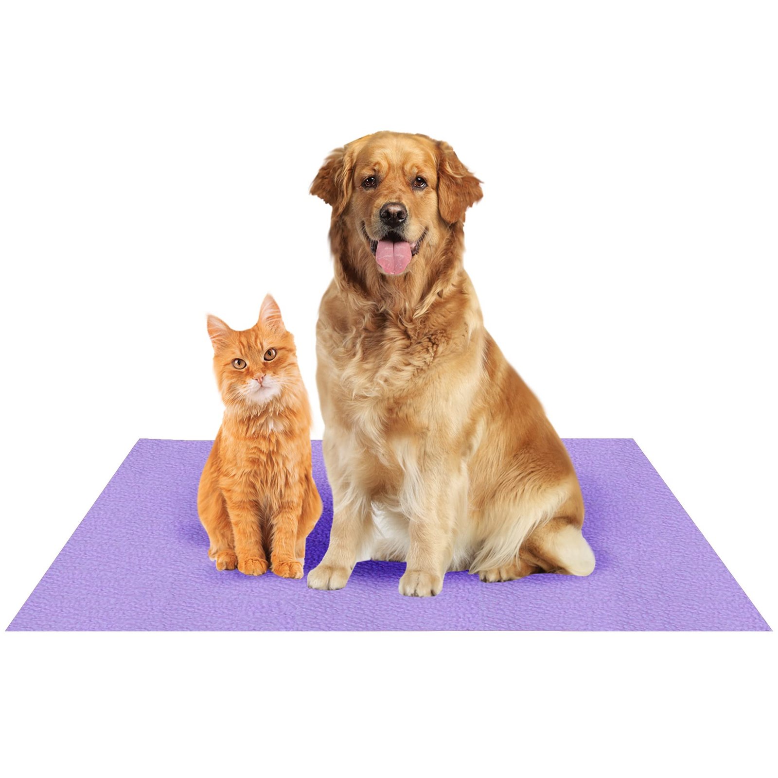 Amorite Waterproof Reusable Washable Dog Bed Sheet for Bed Protector (100cm X 140cm) Violet