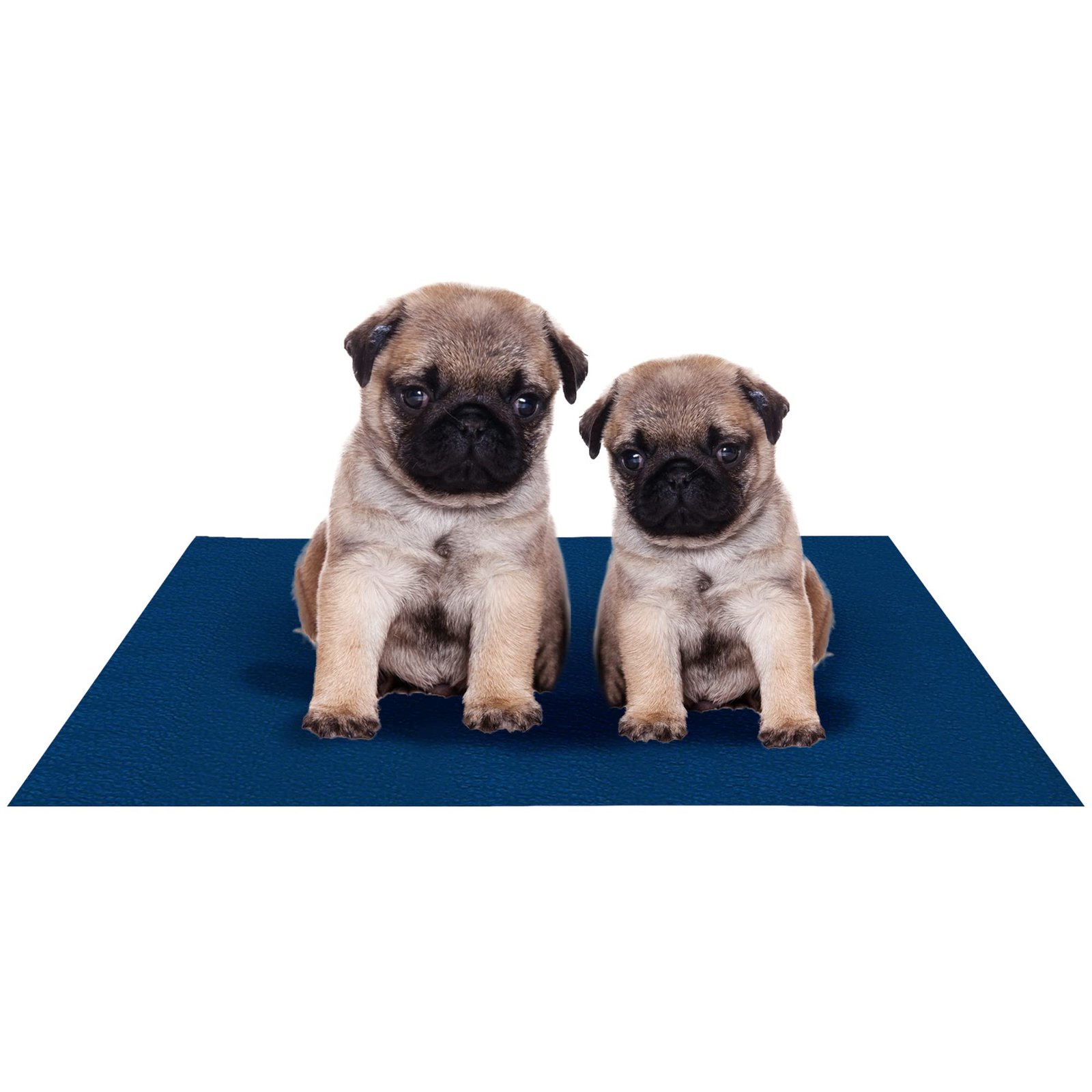 Amorite Reusable Dog Pee Mats 70 X 50 Dark Sea Blue (Small) | Washable Dog Training Pad | Leakproof Toilet Mat for Dogs | Non-Slip Pee Mat for Dogs and Puppies | Washable Pee Pads for Dogs