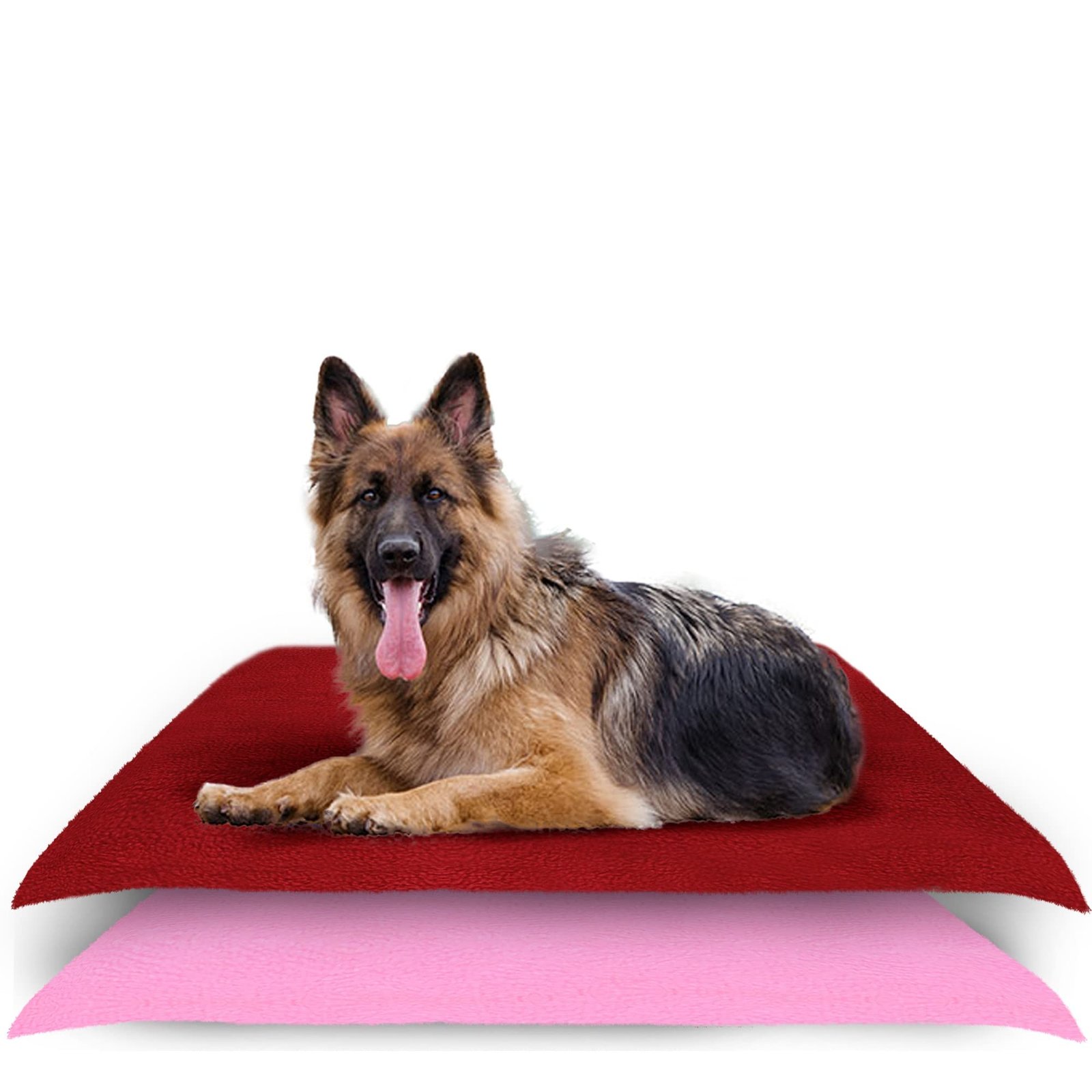 Amorite Washable Pee Mats for Dogs 140 X 100 Maroon + Pink Pack of 2 (Large) | Reusable Dog Pee Pad | Puppy Training Pad | Waterproof Pet Mat | Non-Slip Pee Mat for Dogs and Puppies