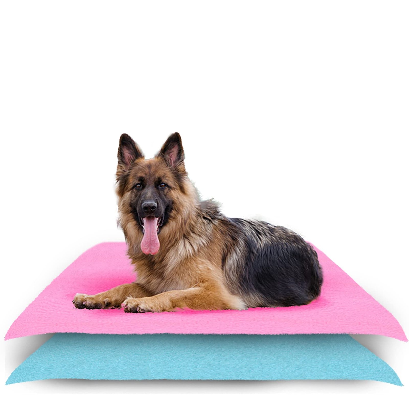 Amorite Dog Pee Pad 140 X 100 Pink + Sea Blue Pack of 2 (Large) | Washable Reusable Dog Potty Training Mat | Leakproof Pet Floor Protector | Non-Slip Pee Mat for Dogs and Puppies