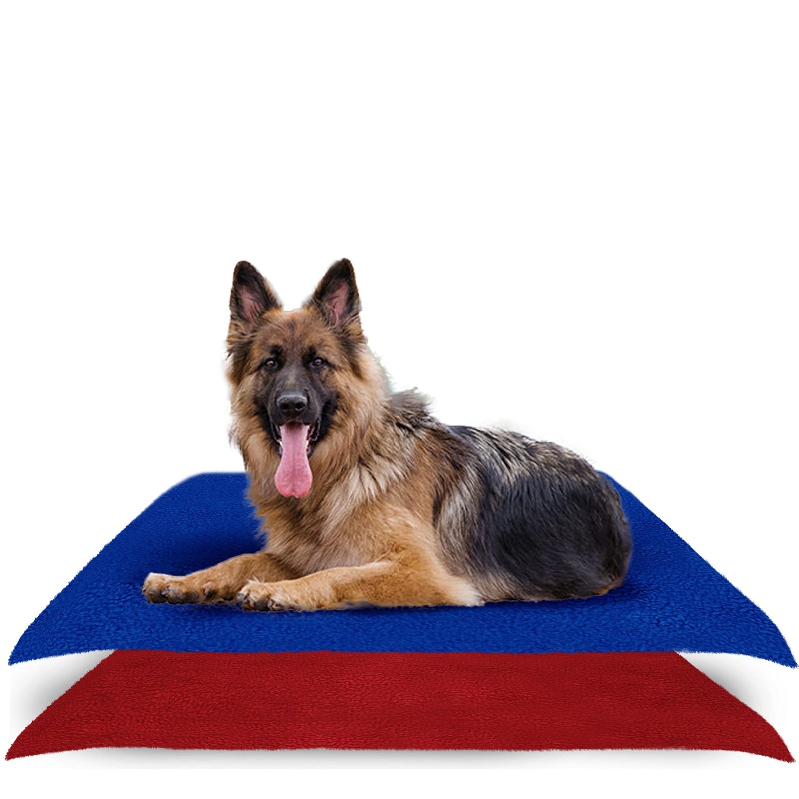 Amorite Dog Pee Pad (140 X 100) Royal Blue + Maroon Pack of 2 (Large) | Reusable Washable Pee Mats for Dogs | Waterproof Dog Potty Training Pad | Super Absorbent Pet Mat | Non-Slip Pee Mat for Dogs