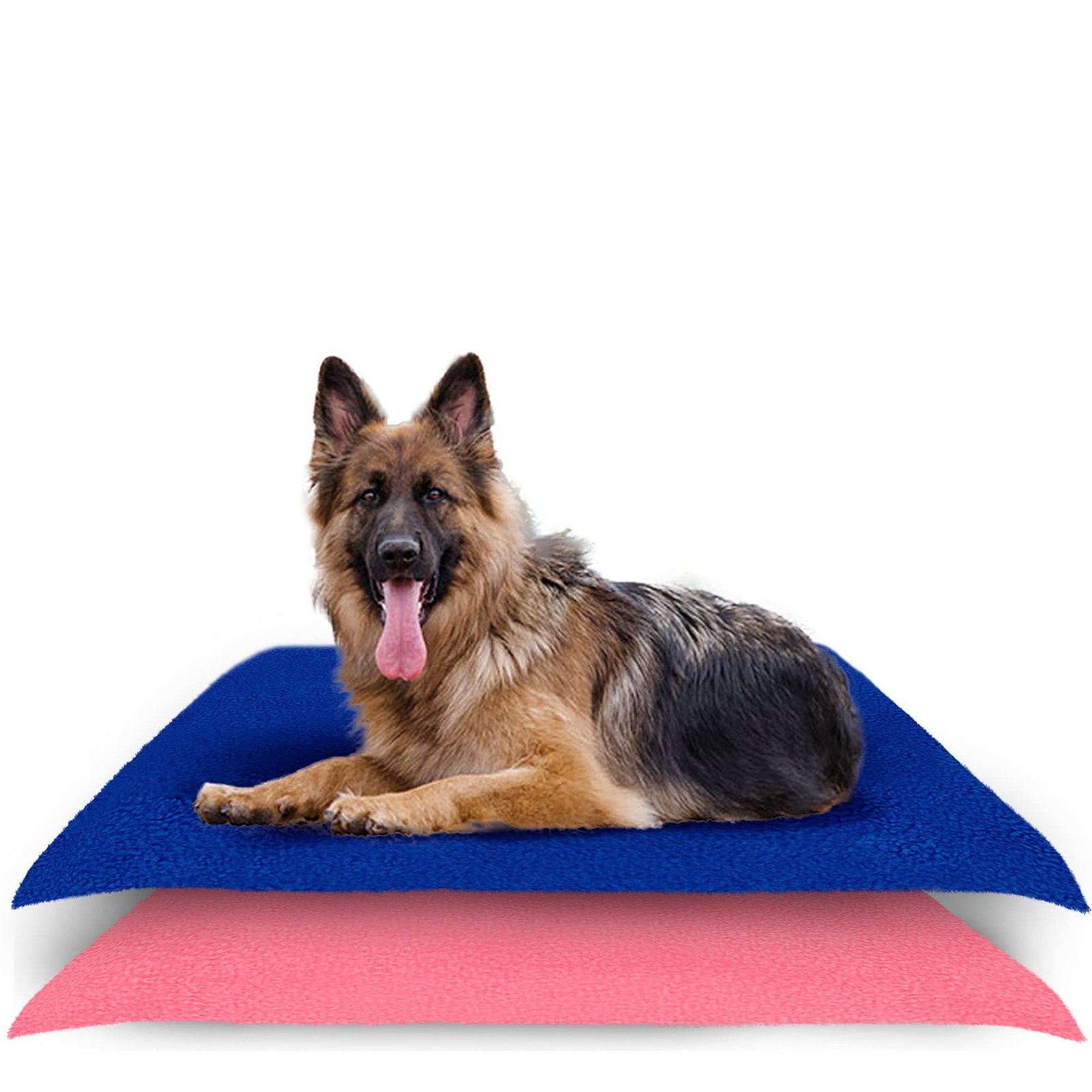 AMORITE Waterproof Reusable Washable Pee Pads & Hygenic Pet Dry Sheet | Training Pads for All Pet | Size- 140 x 100 Large Combo (Color, Royal Blue + Salman Rose)