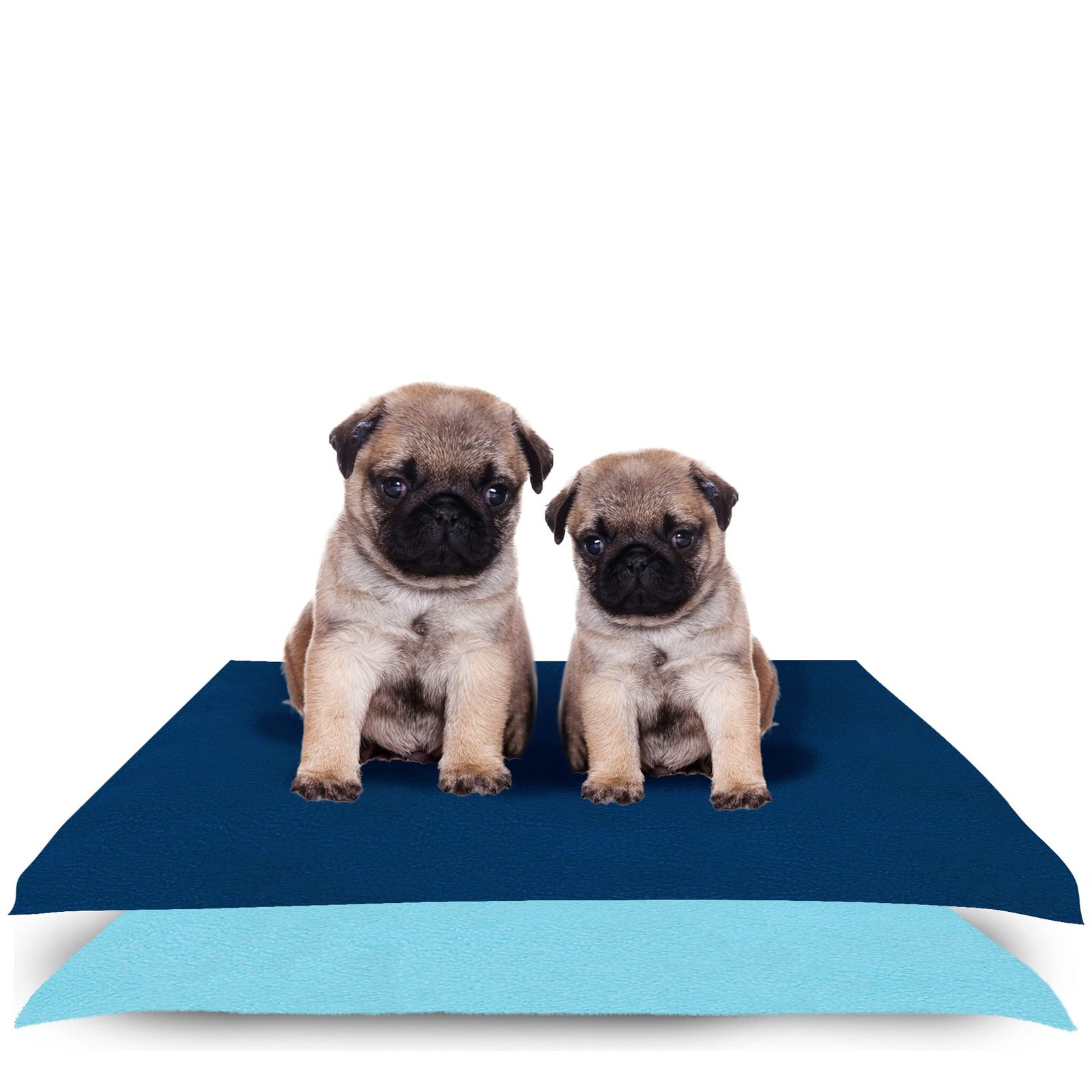Amorite Reusable Pee Mat for Dogs 100 X 70 Dark Sea Blue + Sea Blue Pack of 2 (Medium) | Waterproof Dog Urine Mat | Indoor Dog Potty Pad | Non-Slip Pee Mat for Dogs and Puppies