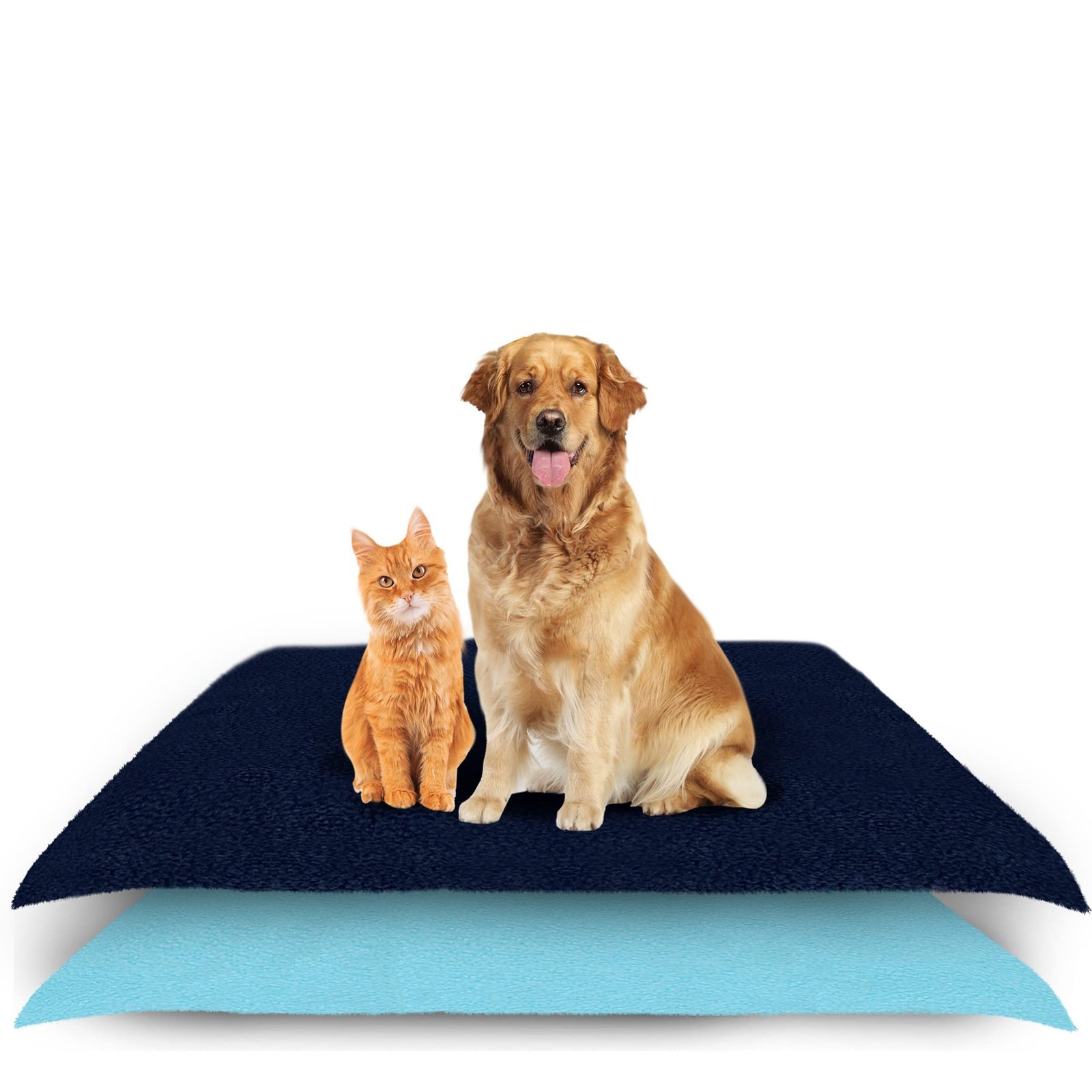 Amorite® Waterproof Reusable Washable Pee Pads for Dogs (Medium Combo, Dark Blue + Sea Blue)