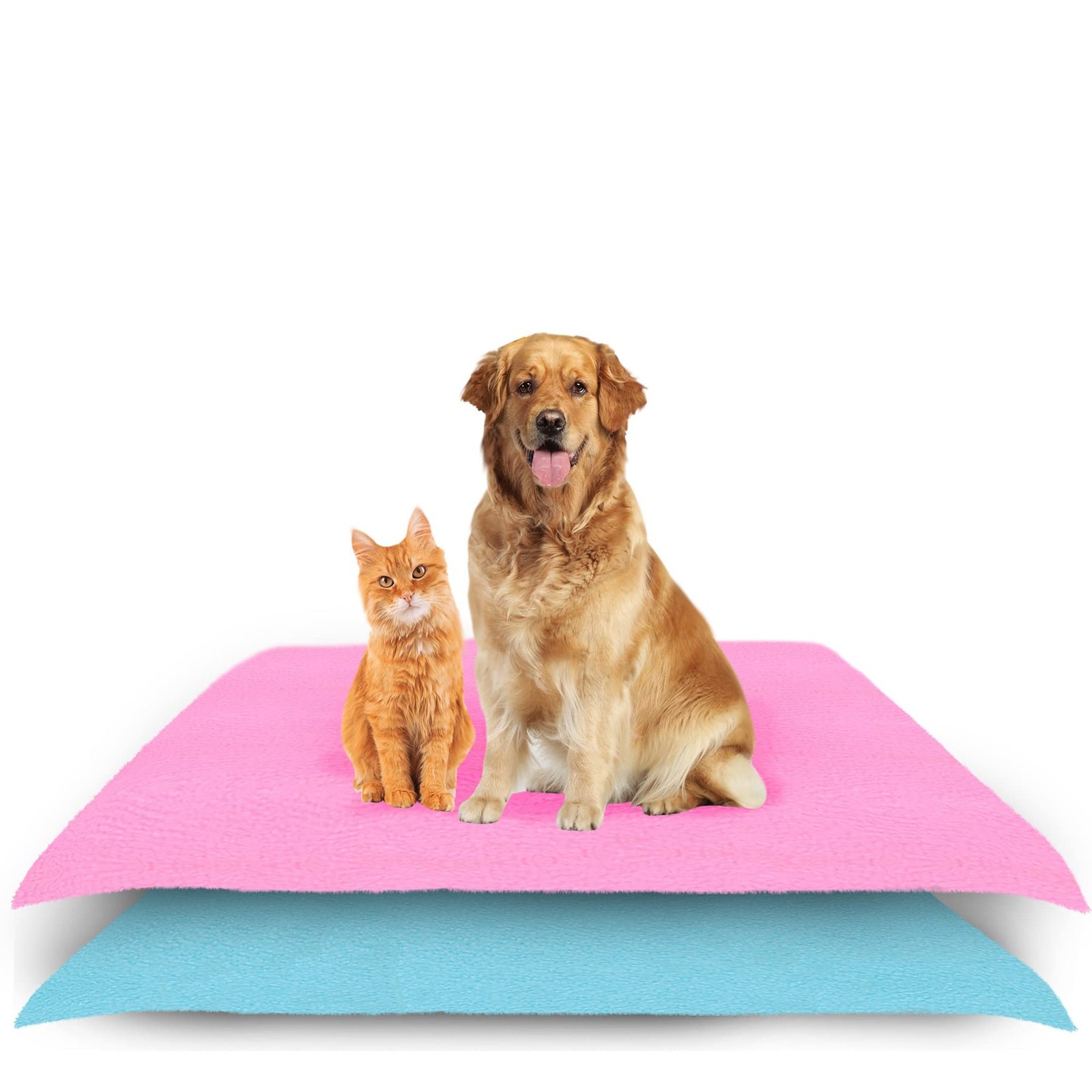 Amorite Dog Pee Mats 100 X 70 Pink + Sea Blue Pack of 2 (Medium) | Reusable Washable Dog Potty Pad | Puppy Training Pad | Pet Floor Protector | Non-Slip Pee Mat for Dogs and Puppies