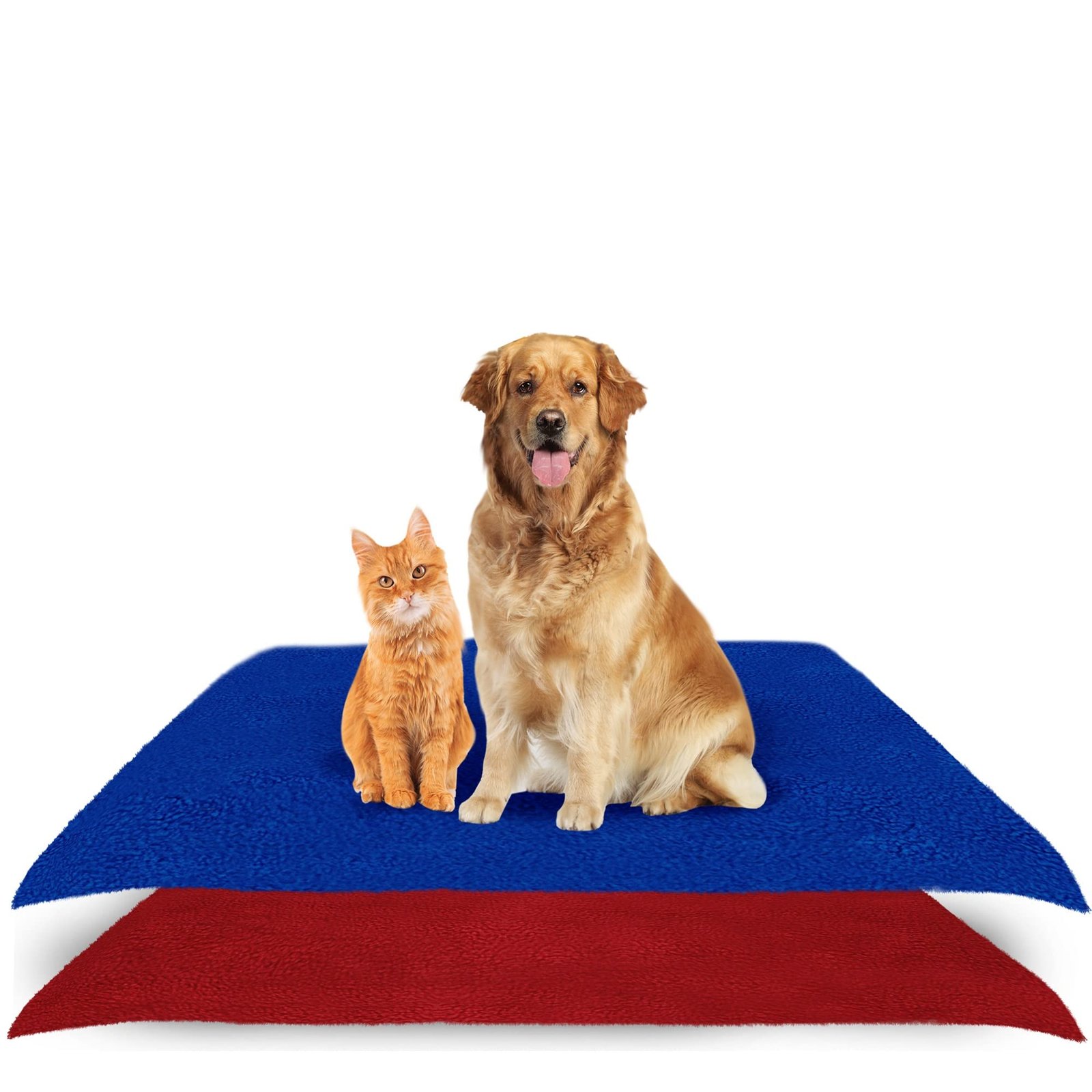 AMORITE Waterproof Reusable Washable Pee Pads & Hygenic Pet Dry Sheet | Training Pads for All Pet | Size- 100 x 70 Cm Medium Combo (Color, Royal Blue + Maroon)