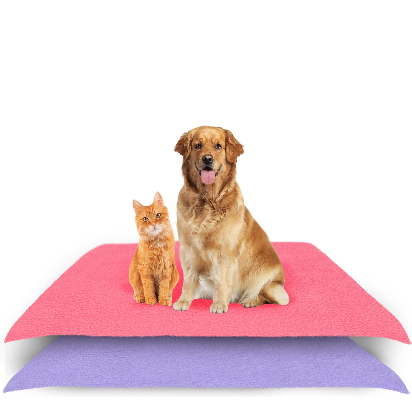 Amorite Medium Reusable Dog Pee Pad 100 X 70 Salmon Rose + Violet Pack of 2 | Waterproof Toilet Mat for Dogs | Puppy Pee Pads Alternative | Non-Slip Pee Mat for Dogs and Puppies