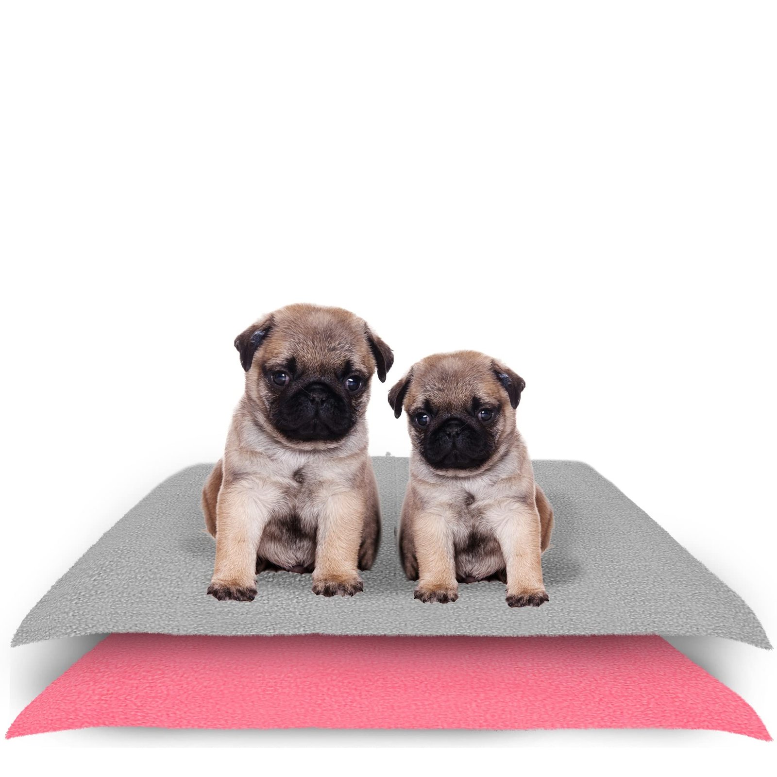 Amorite Reusable Dog Pee Mat 70 X 50 Grey + Salmon Rose (Small) Pack of 2 | Super Absorbent Puppy Pee Pads | Waterproof Dog Urine Floor Protector | Pee Mat for Dogs and Cats