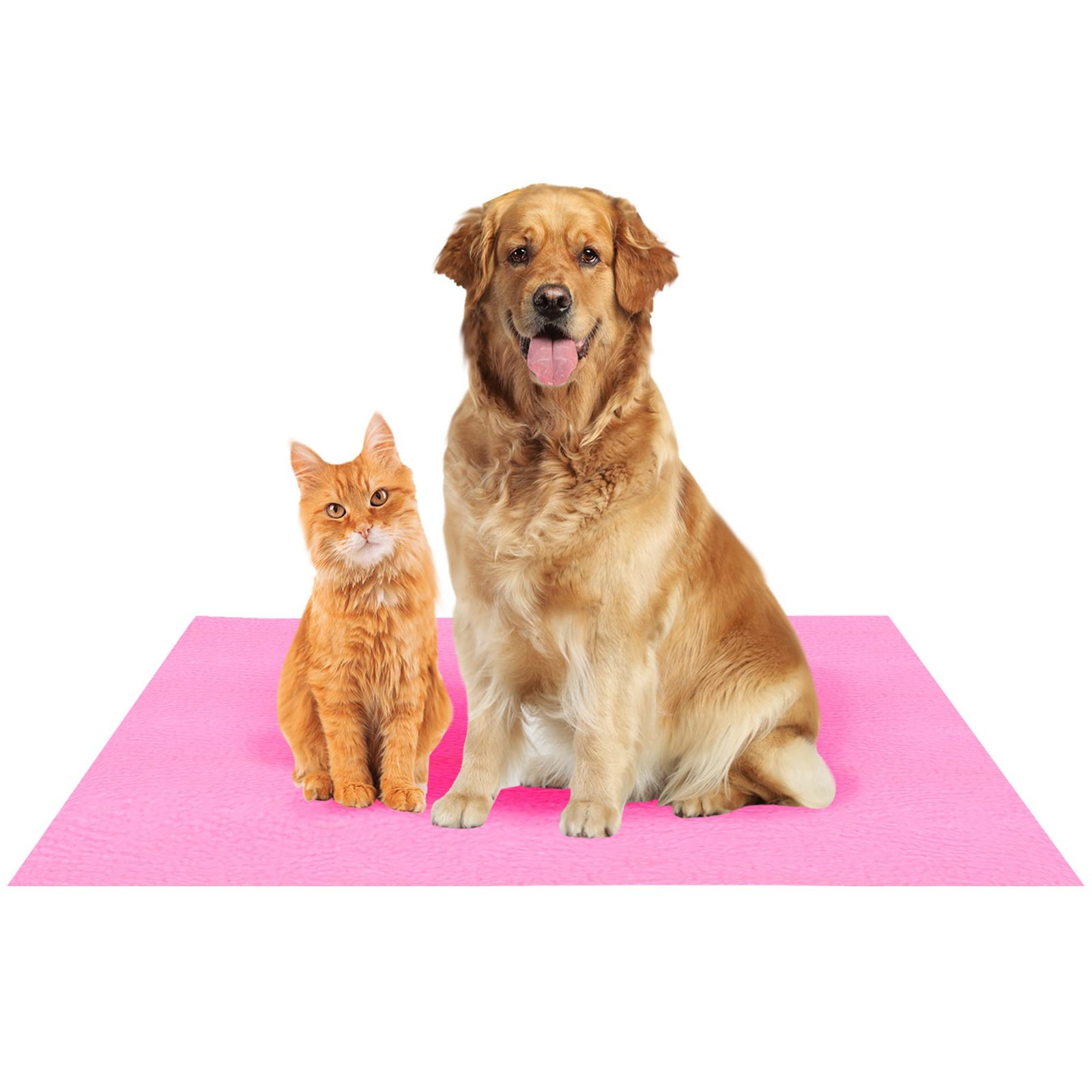 Amorite Reusable Dog Pee Mat 140 X 100 Pink (Large) | Washable Puppy Training Pad | Washable Pee Pads for Dogs | High Absorption Pet Pee Pad | Non-Slip Pee Mat for Dogs and Puppies