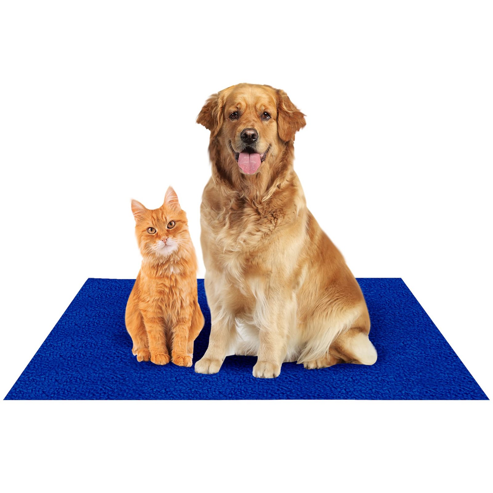 Amorite Washable Dog Pee Pads 140 X 100 Royal Blue (Large) | Reusable Dog Training Pad | Leakproof Pet Pee Mat | Dog Urine Protection for Floors & Beds | Non-Slip Pee Mat for Dogs and Puppies