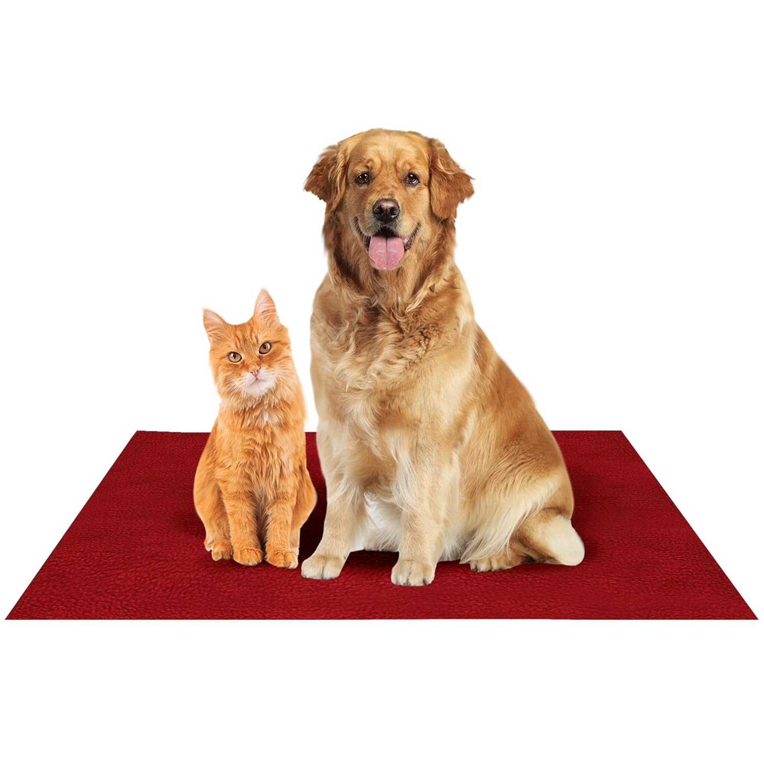 Amorite Waterproof Reusable Washable Pee Pads for Dogs (Medium, Maroon)